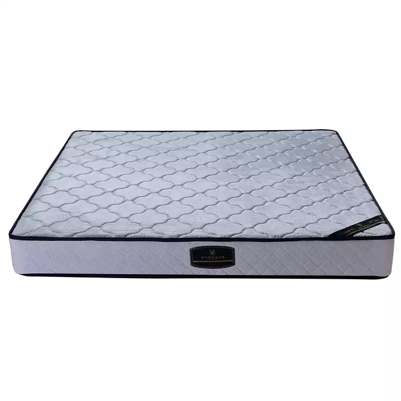 Premium Bed Height Goose Down Mattress Topper with Dream Silk Nine Zone Support, Dual Comfort Firmness, Coconut Palm Fiber, 1.8m Bed Size for Enhanced Sleep Quality and Luxury Bedding - Image 3