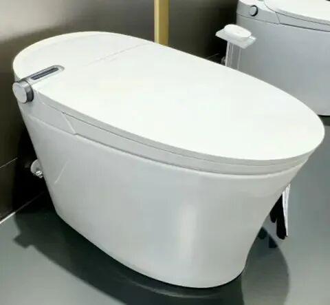 Smart Toilet vs Regular Toilet
