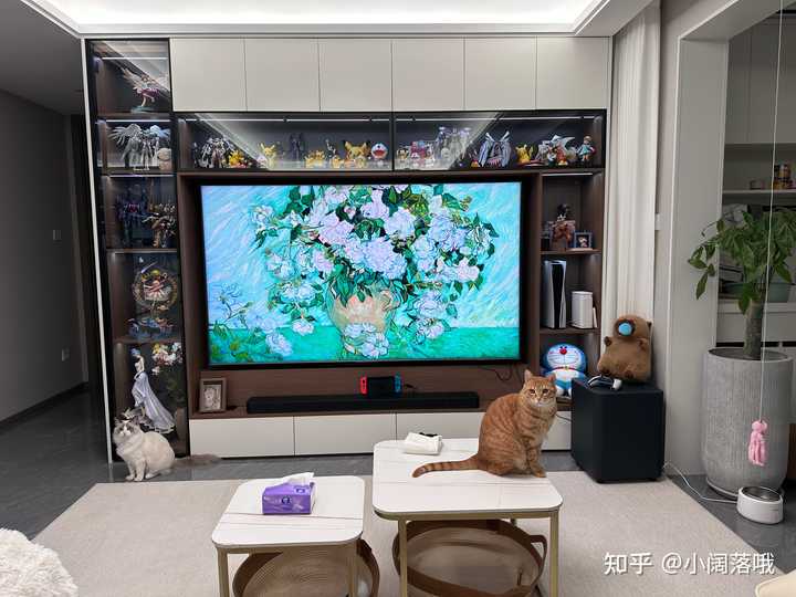 Living Room Entertainment