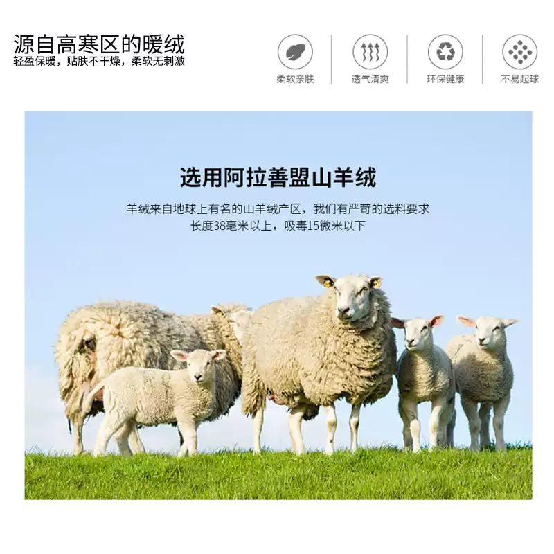 Premium High-End Brown Coconut Coir Mattress Topper with Independent Spring Support for 1.5x1.8m Beds - Ultra-Soft and Natural Comfort for Home Use - Image 3